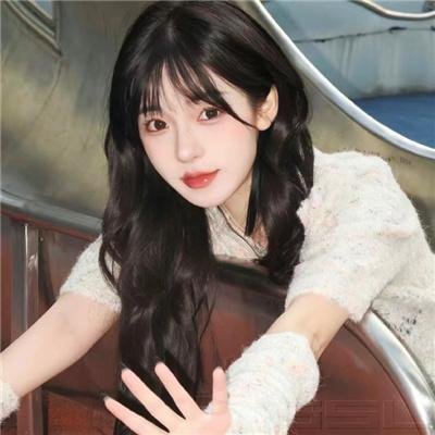 凤凰自当扶摇之上